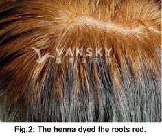 230315094230_Hair-Dying with henna-s.jpg